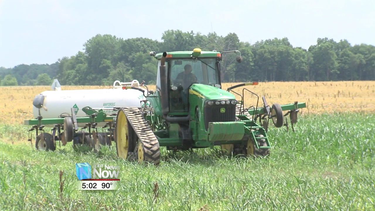 Area farmers hope for good weather here on out for a serviceable yield 1.jpg